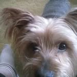 Johnsipple - @johnsipple6553 - Instagram