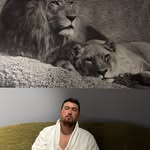 John Sisley - @johnnysisley - Instagram