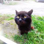 Jan Sitko - Facebook