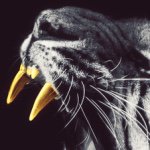 John Sitz - @thatsrightz_ - Instagram