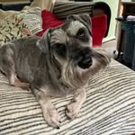 John Skipper - @johnskipper34 - Instagram