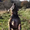 johnskipper626 - @johnskipper626 - TikTok