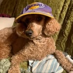 John skolfield - @john.skolfield - Instagram