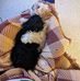 John Slama - Facebook