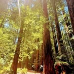 John Slattery - @johnjslatteryherbalist - Instagram