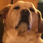 John Slaughter - @ajbslaughter - Instagram