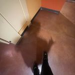 @johnhaysleepers - Instagram