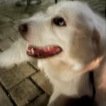 Johnny von Slopbucket - @john_sleeperton - Instagram