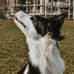 John G &amp; Phyllis W Smale Riverfront Park - Facebook