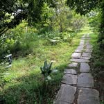 John Small - @johnsmall.yoga - Instagram