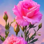 john smarrt - @johnsmarrt - Instagram
