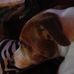 John Smee - Facebook