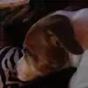 johnsmee5 - @johnsmee5 - TikTok