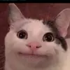 johnsmeelsliketurds - @johnsmeelsliketurds - TikTok