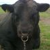 John Smiddy - Facebook