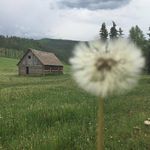 John Smiddy - @smiddyjohn - Instagram