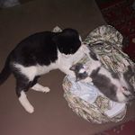 John Aubrey Smitherman - @arsgvegas5 - Instagram