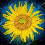 John Smitherman - @johnsmangang - Instagram