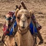 John Smitherman-Cairns - @jonno.sc - Instagram