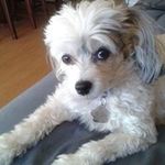 John Snell - @snell_john - Instagram