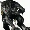 john snoke - @john.snoke6 - TikTok