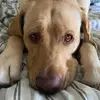 John Snyder - @snydsjohn - TikTok