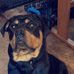 John Soares - Facebook