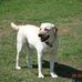 John Soares - Facebook