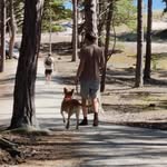 John Alexander Höidahl-Söderström - @hoidahlsoderstrom - Instagram