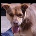 John Soderstrom - Facebook