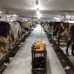 John Soderstrom - @nosleepdairy - Instagram