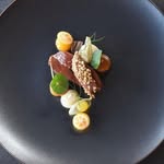 WolfRuediger Rex - @johnsokolowski861 - Instagram