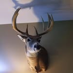 john sole - @sole8394 - Instagram