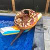 John Soliman - @jsoli_ - TikTok