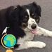 John Solley - Facebook