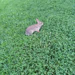 John Solley - @johnsolley - Instagram