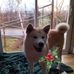 John Solomon - Facebook