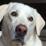 John Soltis - @wintersoltis - Instagram