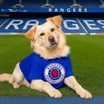 John Somerville - @johnsomerville570 - Instagram
