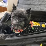 John Somerville - @johnsomerville75 - Instagram