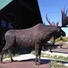 John Soricelli - @john.soricelli - TikTok