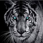 @john.soro1 - Instagram