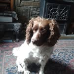 John Souter - @johnsouter1765 - Instagram