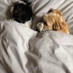 John Sowter - @jhn.sowter - Instagram