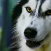 John Spade - @john.spade1 - TikTok
