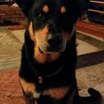 John Spagnola - @spagnolajohn - Instagram