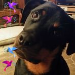 John Spagnola - Facebook