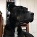 John Spagnolo - Facebook