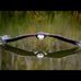 John L. Speciale - Facebook