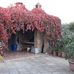 John Speciale - Facebook
